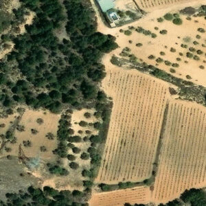 Subasta finca rustica en Requena, REQUENA – 9.002€