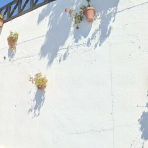 Subasta vivienda en Felix, CALLE CERCADO Nº9 – 229.419€