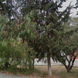 Subasta otros en Sant Joan Despi, CL RIUS I TAULET 8 – 316.173€