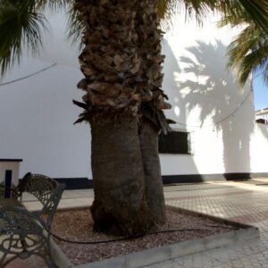 Subasta local comercial en Orihuela costa, Villamartín Plaza, C/L Beethoven, Local 18, Orihuela costa – 118.982€