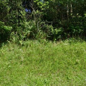 Subasta vivienda en Cabrales, LG SITIO LA PIEDRA EL FRESCO 0 – 8.596€