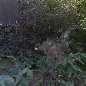 Subasta finca rustica en Santa Eulalia de Oscos, LG BOUDEIRAL 0 – 558€