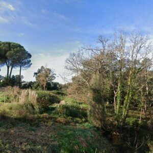 Subasta otros en Maçanet de la Selva, PARCELA 692, C/ SAN NICOLAU 44, MONTBARBAT – 77.172€
