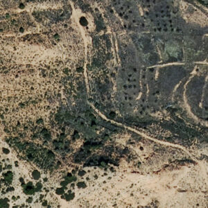 Subasta finca rustica en Tramacastiel, PA VIÑA OLIVERA POLG 7 PARC 365 – 50€