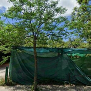 Subasta finca rustica en Granada, PS DE LA SABICA 48 – 2.229€