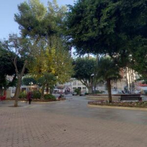 Subasta finca rustica en Alzira, Partida Corral de Tarín, Parcela 23 del Polígono 66 – 110.943€