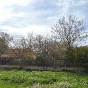 Subasta vivienda en Caravaca de la Cruz, LG HDA DEL OLMO – NAVARES 0 – 125.385€