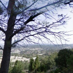 Subasta finca rustica en Calonge De Sega, CALONGE DE SEGA – 1.747€