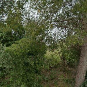 Subasta vivienda en Tarragona, LUDWING VAN BEETHOVEN, BL. II, 3º 4º – 171.603€