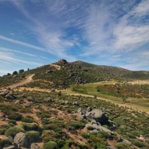 Subasta vivienda en El Tiemblo, EL PINAR DE LA ATALAYA 694 – 71.878€