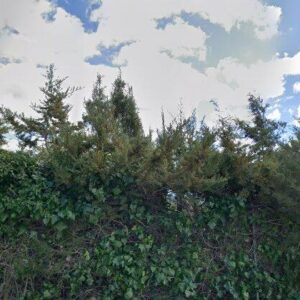 Cesión de remate de trastero en Mont-ral, Trastero en calle JULIVERT 7, en Mont-ral (Tarragona) – 120.000€