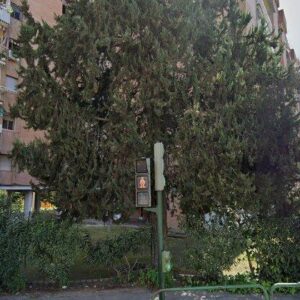 Cesión de remate de vivienda en Córdoba, Piso en AV MIGUEL DE UNAMUNO,4 Esc:E Pl:4 Pt:01 Córdoba (Córdoba), en Córdoba (Córdoba) – 110.000€