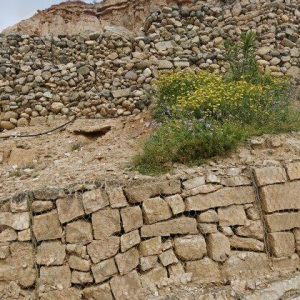 Subasta finca rustica en Fraga, PARTIDA MOREAL – 333.874€
