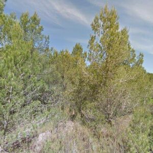 Subasta finca rustica en Mont-roig del Camp, PG CASALOT 0 – 35.887€
