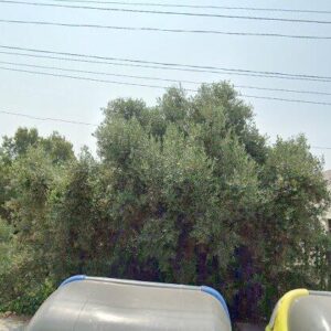 Subasta vivienda en Calafell, Calle Gessamí nº 32 – 46.556€