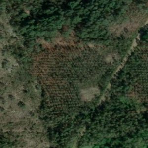 Subasta finca rustica en Arteixo, PQ SAN ESTEBAN DE MORAS 0 – 74.810€