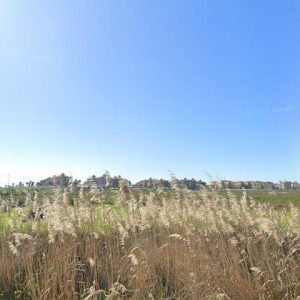 Subasta solar en Ayamonte, Isla de Canela y del Moral – 470.468€