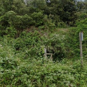 Subasta finca rustica en Olot, Calle dels Sastres, 7 – 40.495€