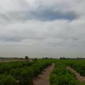 Subasta finca rustica en Bétera, PARTE DE PARCELA A) Y B) DEL POLÍGONO 29 – 145.481€