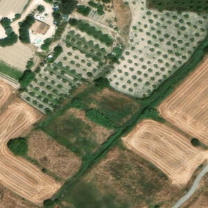Subasta finca rustica en Caravaca De Cru, CARAVACA DE CRU – 2.911€