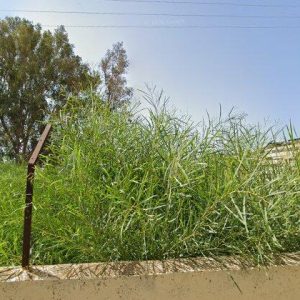 Subasta local comercial en Águilas, CL VICENTA RUANO 23 2 I ÁGUILAS – 52.178€