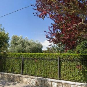 Subasta finca rustica en Villagonzalo Pedernales, PJ LA TRAMPA PG 5 PARCELA 56 – 38.077€