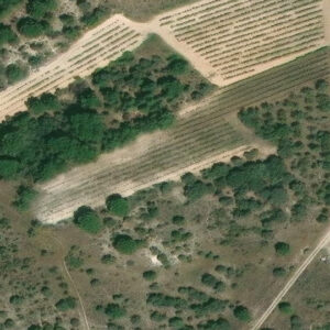 Subasta finca rustica en Quintanilla de Onesimo, CM CAMINO DEL MONTE 0 – 1.366€