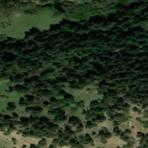 Subasta solar en Alcala de la Selva, BO LOS PLANOS Y MAS BLANCO 0 – 2.076€