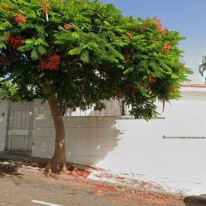 Subasta vivienda en Santa Cruz de Tenerife, Calle Henry Dunant, número 12 – 555.444€