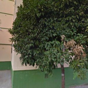 Subasta vivienda en Sevilla, Plaza Venus del Espejo nº5 escalera 1 Planta 4 Puerta Izquierda – 46.936€