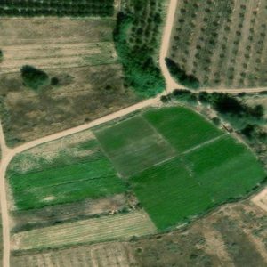 Subasta finca rustica en Autol, PA SITIO MAREJUGA 0 – 1.136€