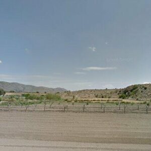 Subasta finca rustica en Caravaca De Cru, CARAVACA DE CRU – 6.081€