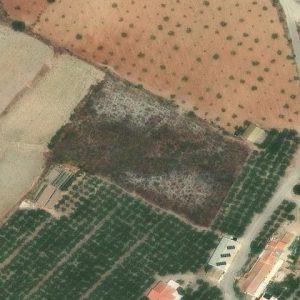 Subasta finca rustica en Lorca, Polígono 82 Parcela 58 LLANOS. Diputación Morata. Cañada Blanca. Bancal de los Plantones. LORCA (MURCIA) – 13.841€