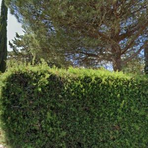 Subasta vivienda en El Berrueco., Calle Abetos 3. Urbanización Pradera del Amor – 71.759€