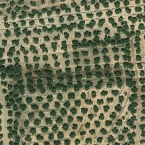Subasta finca rustica en Mengibar, LG ESCARADAS DEL PONTÓN 0 – 11.712€