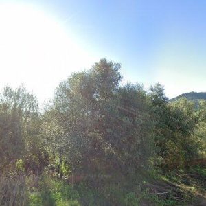 Subasta finca rustica en Onda, CL POLIGONO 48 177 Suelo – 44.233€