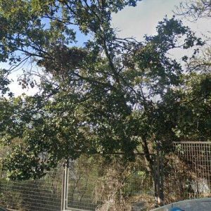 Subasta vivienda en El Bosque, UE-CUATRO PLAZA DE TOROS – 92.525€
