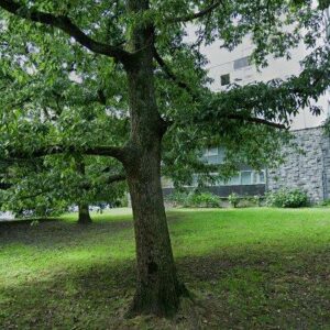 Subasta vivienda en Donostia-san Sebastian, CL SERAPIO MUJICA 3 14 A – 30.865€