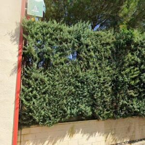 Subasta garaje en Madrid, CL GRECO 9 - 1 -1 – 8.840€