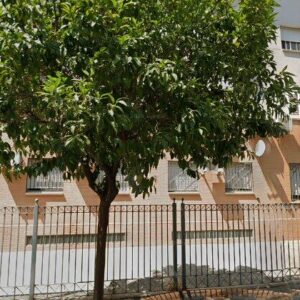 Subasta vivienda en Sevilla, CL FLOR DE NIEVE 7 Es:3 Pl:00 Pt:C PG AEROP PARC 9-9 – 32.799€