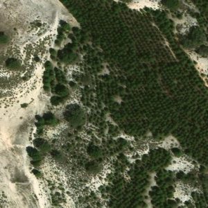 Subasta finca rustica en Mahora, EN MAHORA, PARAJE VALLEJO DEL PAVO, CERRON – 29.689€