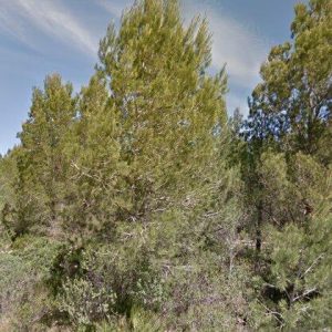 Subasta finca rustica en Mont-roig del Camp, PG CASALOT 0 – 23.618€